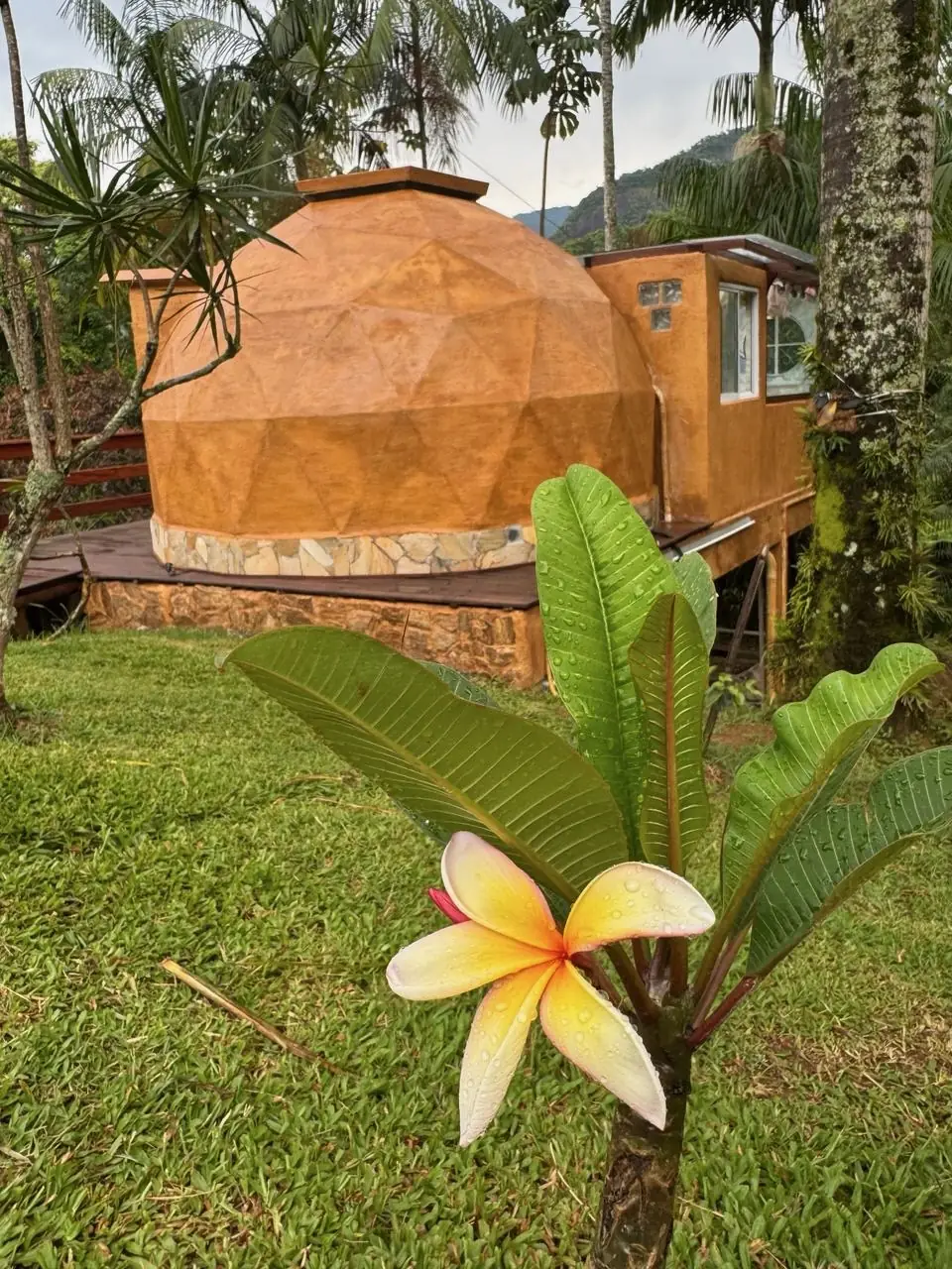 Flor do jardim da Casa Paramita com um dos domos ao fundo
