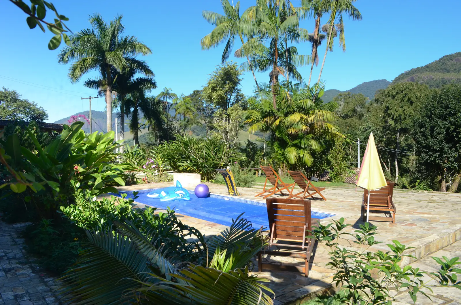 Piscina e deck cercados pelo jardim da propriedade